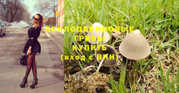 ALPHA PVP Алексин
